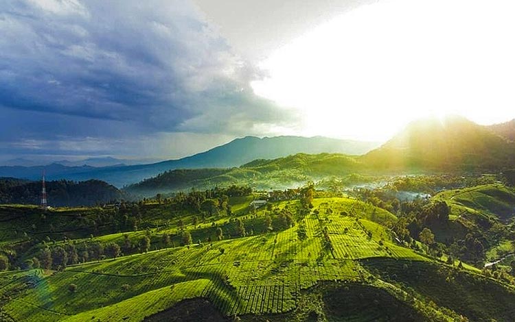 Tempat wisata pegunungan di Jawa