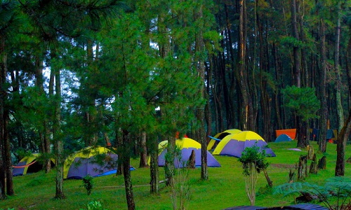 Tempat camp di daerah Bogor