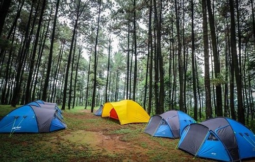 Lokasi Camping di Bogor